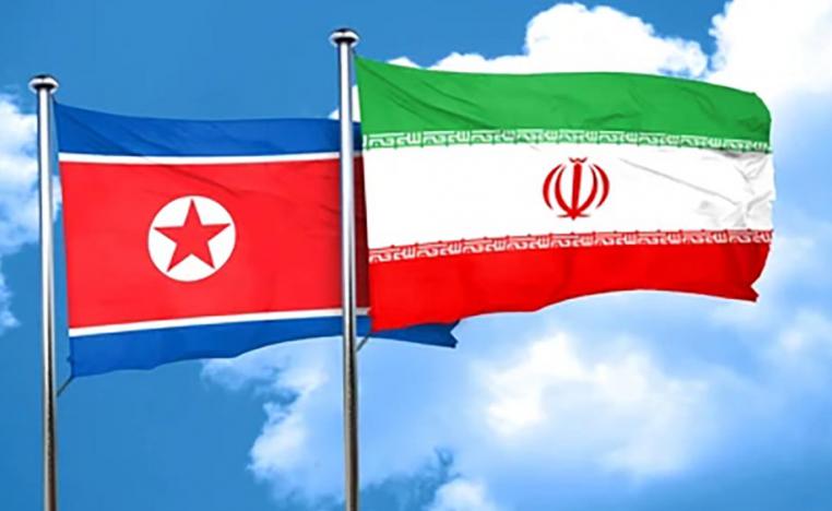 North Korean and Iranian flags
