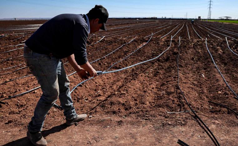 قطاع الفلاحة بالمغرب يمثل 14 بالمئة من الناتج الداخلي الخام