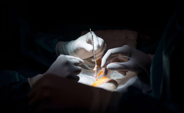 زراعة الكلى