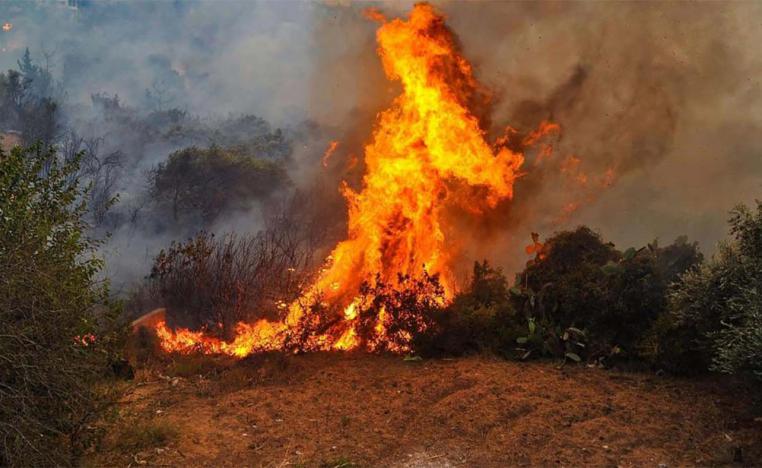 Flames engulfing tracts of land 