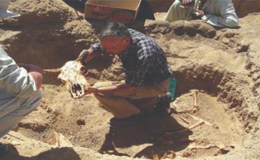 'العبادة الحيوانية' 