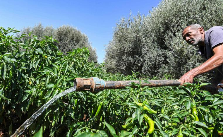 الشمال التونسي 