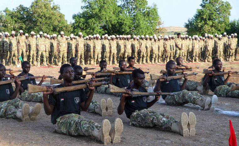 من المستحيل تجاوز الجماعات المسلحة في المستقبل