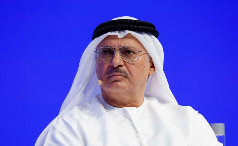 أنور قرقاش يؤكد أن الحل في سوريا هو دولة يمكن الوثوق بها