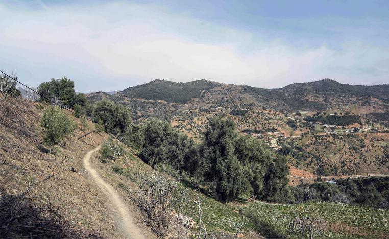 No damage has been reported