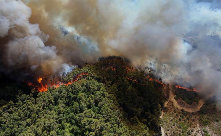 الحرائق أثرت على نحو خمسة آلاف شخص