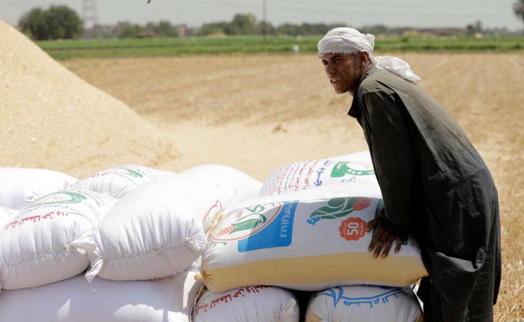 تعزيز الأمن الغذائي يتصدر أولويات الحكومة المصرية 