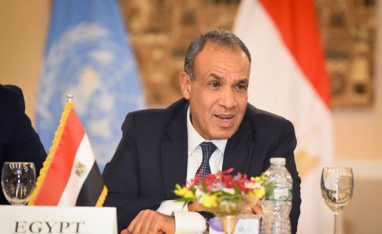 مصر تقود جهودا عربية لوقف حرب غزة ودعم حل الدولتين