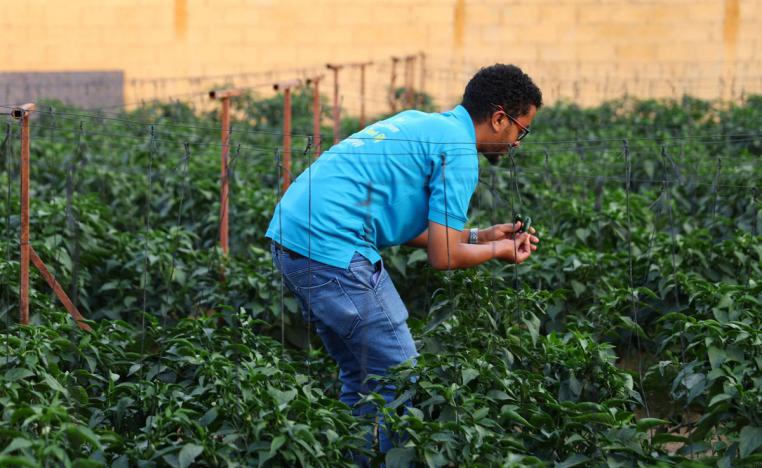  جهاز 'تاتش رايب'