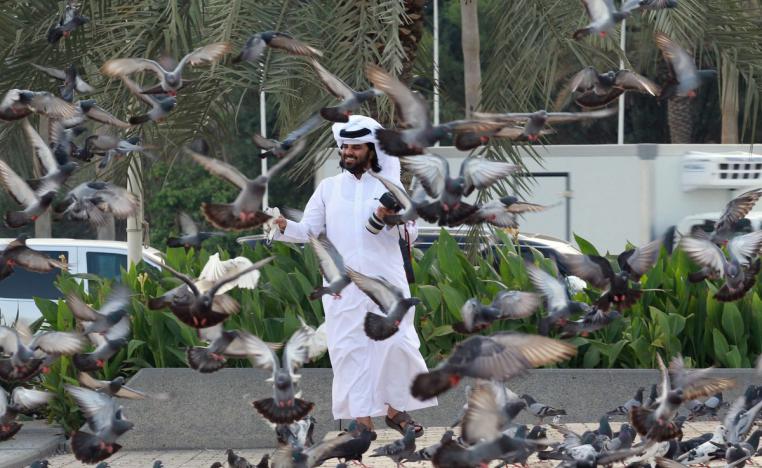 الحمام الزاجل