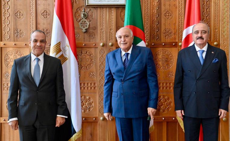 دول الجوار الأكثر مصلحة باستقرار ليبيا 