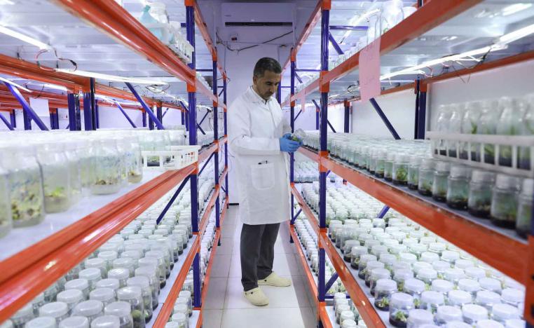 An agriculture that is distinguished by its high production