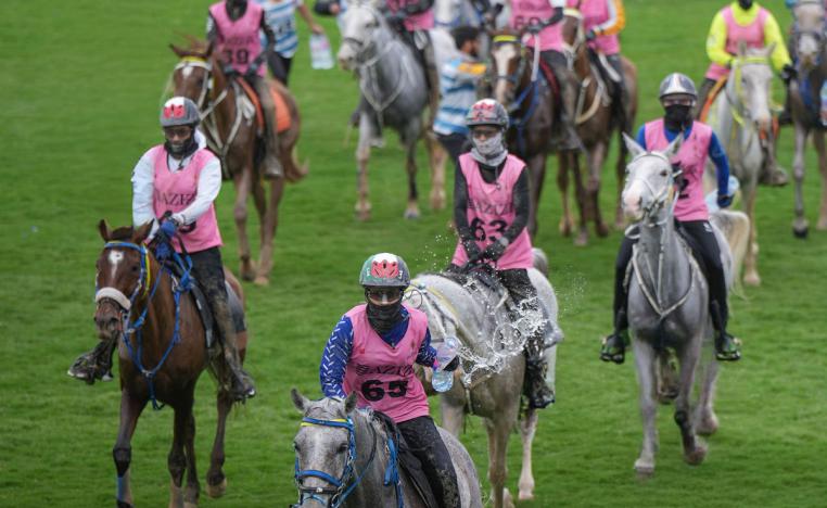 الفروسية تمثل جزءًا أصيلًا من ثقافة وتراث الإمارات