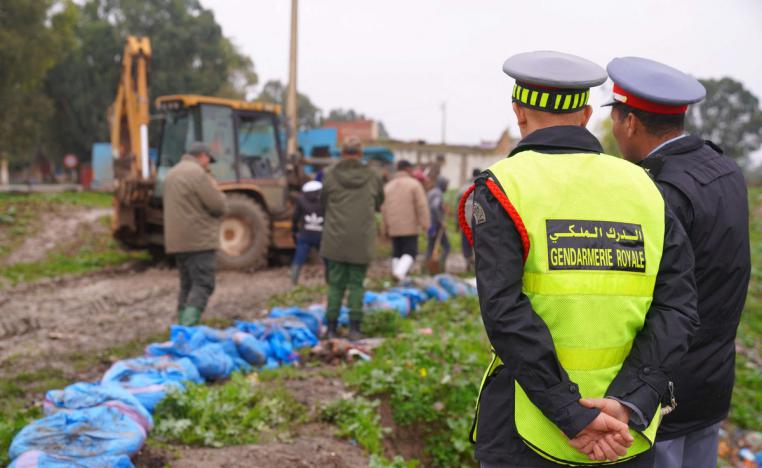 سرعة الاستجابة خففت من حدة الكارثة الطبيعية 