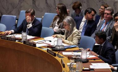 Initial draft was backed by other Gulf  Arab states and Washington