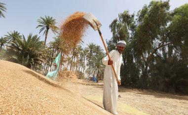 فلاح عراقي