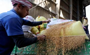 Targeting leadership role in global grain trade amid rising demand