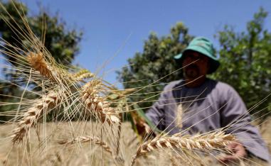 The push for greater self-reliance follows years of record imports