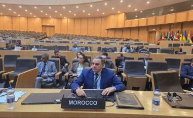 الدبلوماسية المغربية