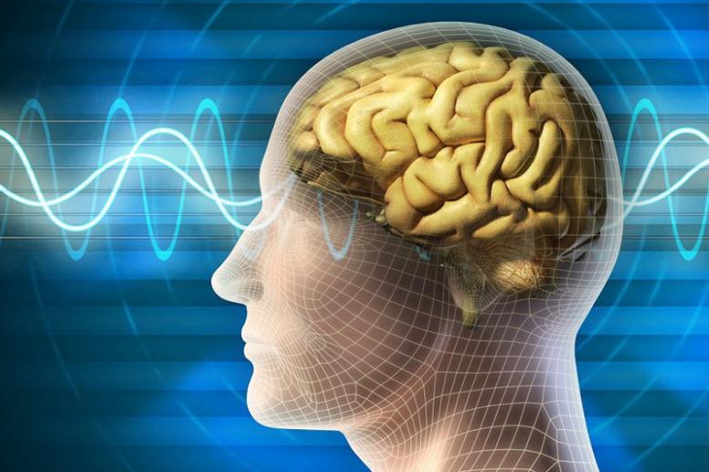 خلية دماغية فريدة تميز البشر عن باقي الكائنات