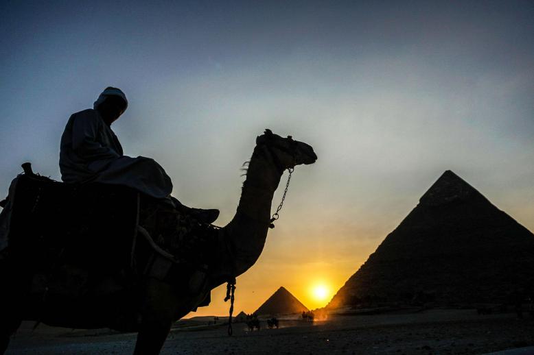 رجل يركب جملا بالقرب من الاهرامات في مصر