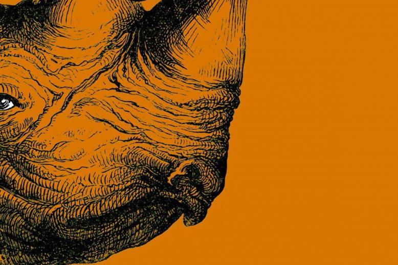 غلاف كتاب 'على قَرن الكركدن' 