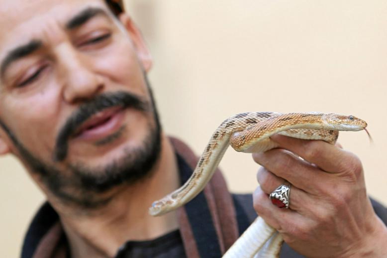 تربية ثعبان
