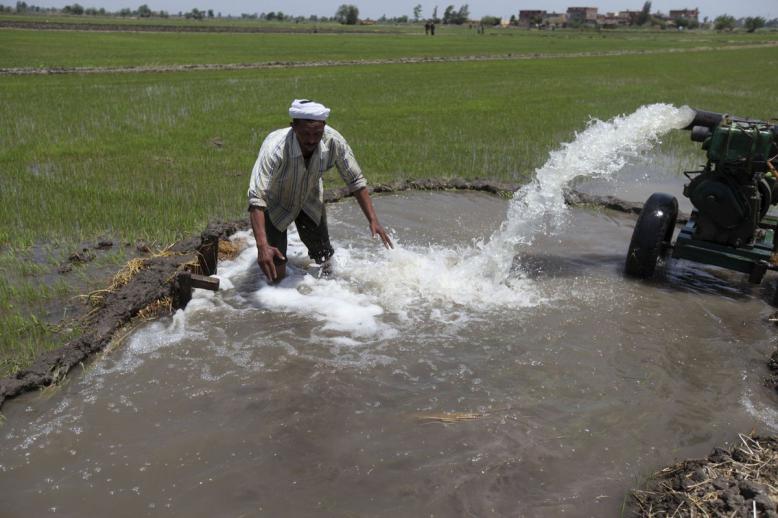 أزمة المياه باتت تؤثر على كل مناحي الحياة في مصر خاصة قطاع الفلاحة