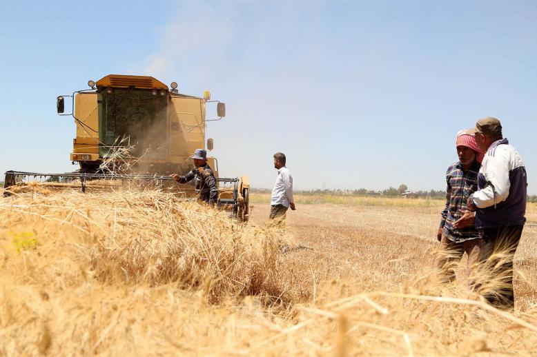 FAO reports reports 75% of Syrian wheat crops projected to fail