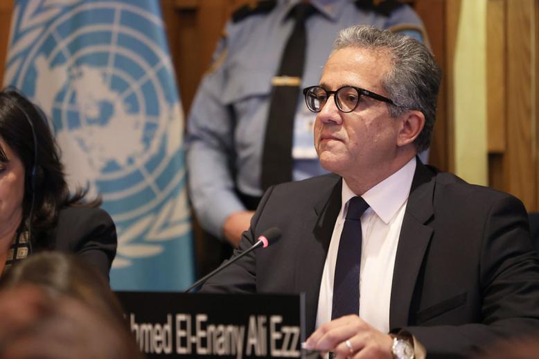 العناني يفوز بالمنصب بأغلبية ساحقة