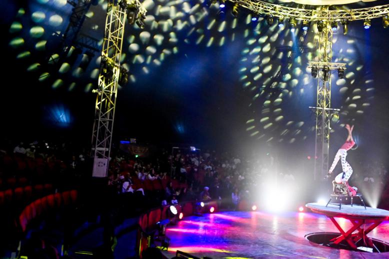 أنشطة لجميع أفراد العائلة