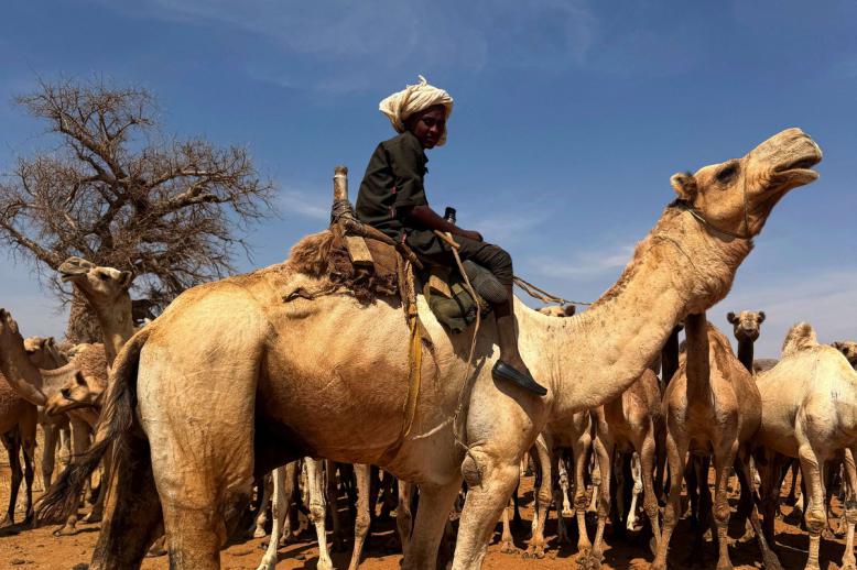 الصحراء تتحول إلى سجن للبدو الرحل 
