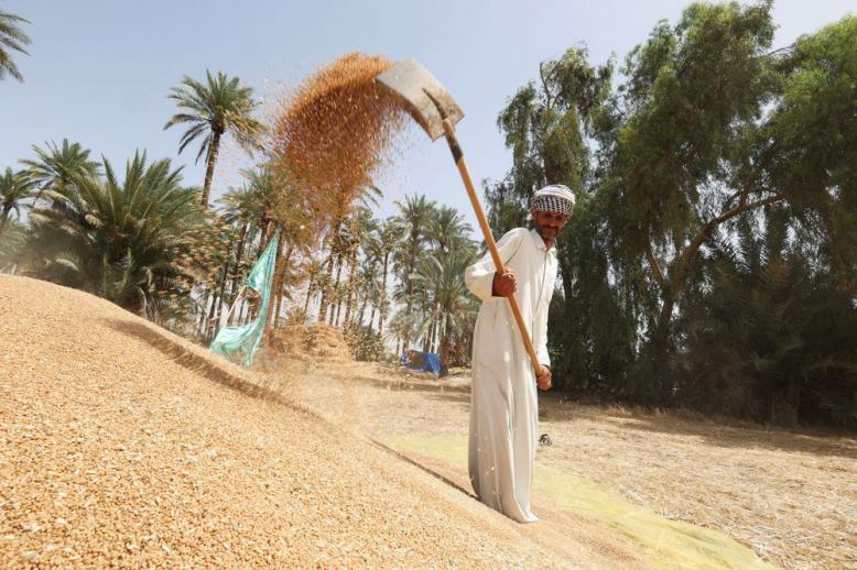 فلاح عراقي