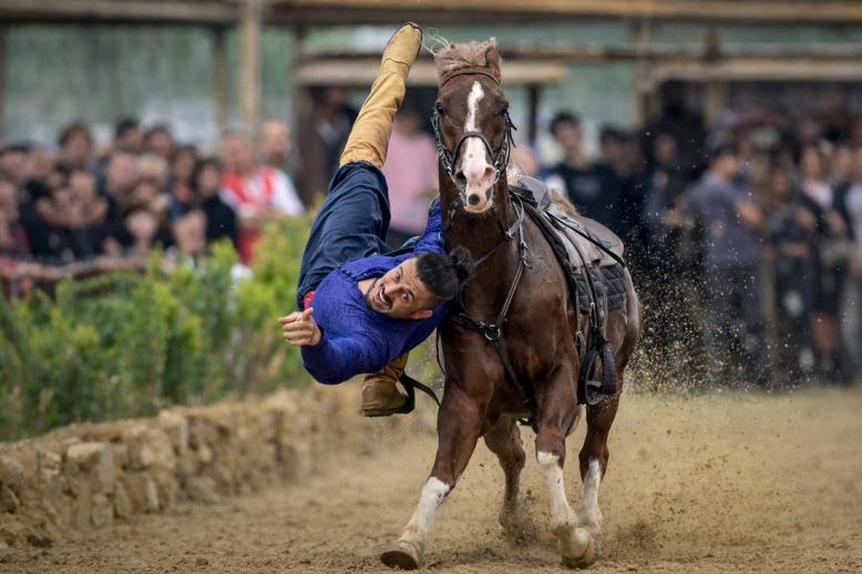 مهرجان الرياضات التقليدية 