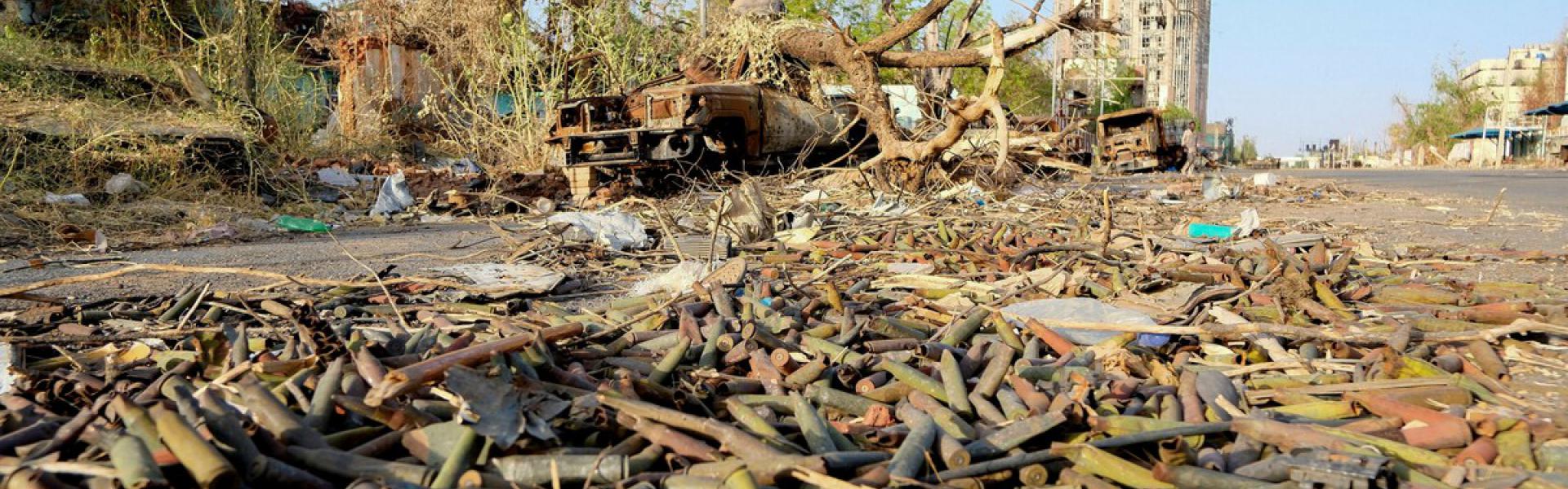 الأشجار ضحية أيضا للحروب