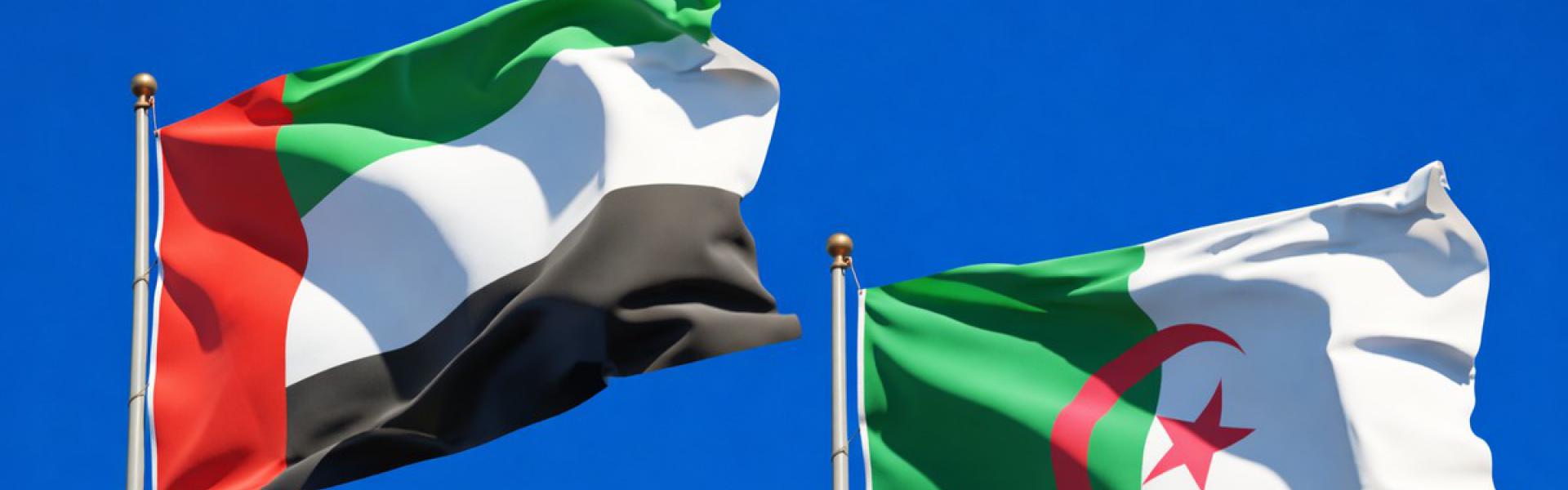 مواقف الامارات من قضايا اقليمية تزعج الجزائر