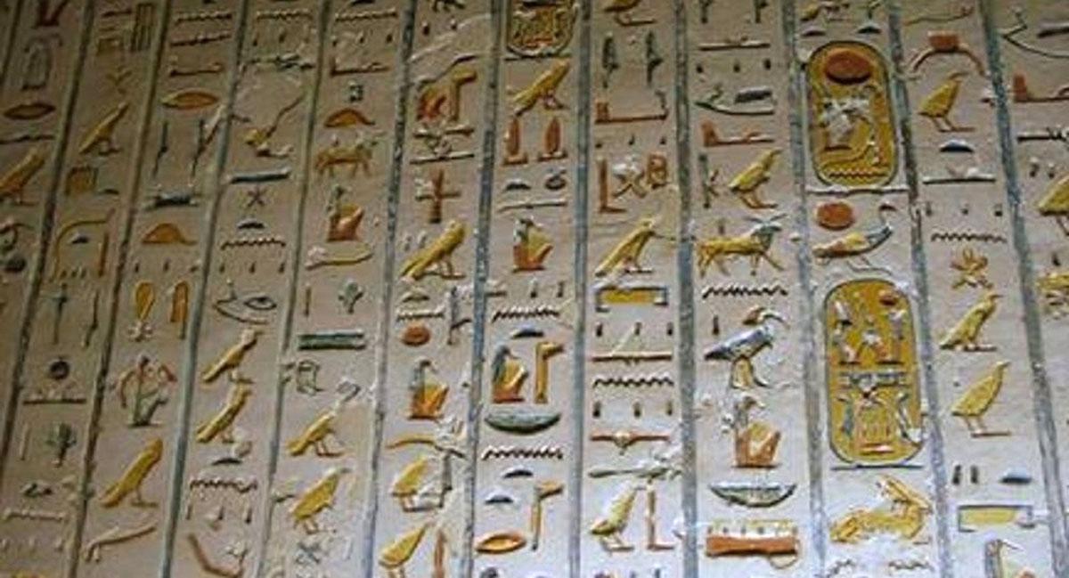 عدد زائري الموقع في تزايد مستمر