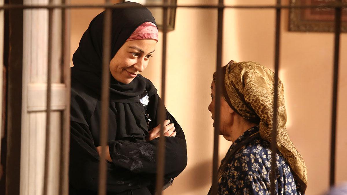 أثر ما كان يجرى في مصر 
