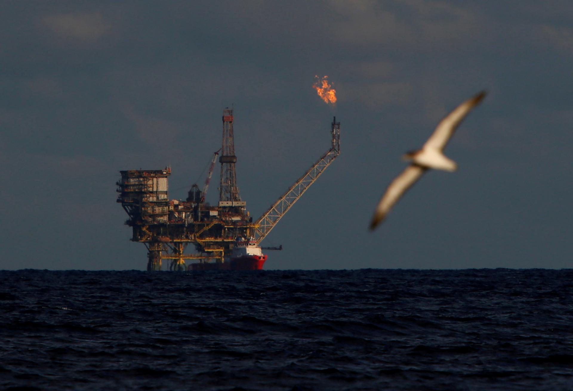 A seagull flies in front of an oil platform in the Bouri Oilfield some 70 nautical miles north of the coast of Libya, October 5, 2017.