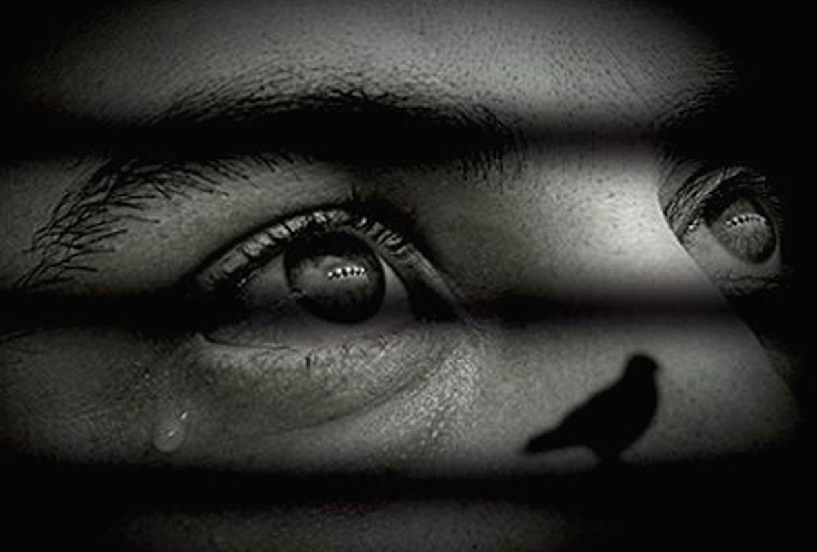 استراتيجيات عديدة دون تغييب الجمالي