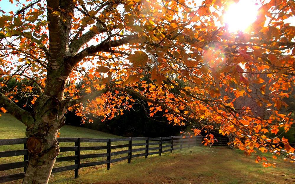 عزيزة الطائي تبحث عن الروح في "خذ بيدي فقد رحل الخريف" 