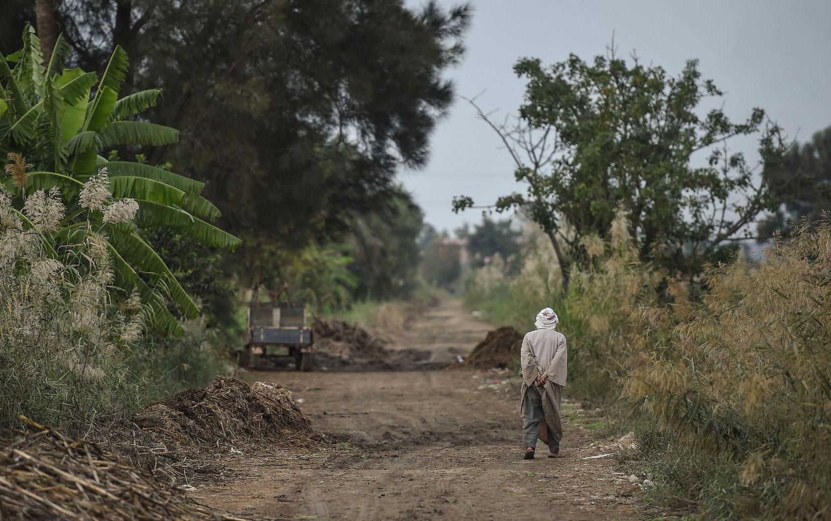 A farmer walks in a field in Kafr al-Dawar village in northern Egypt's Nile Delta, on November 26, 2018.