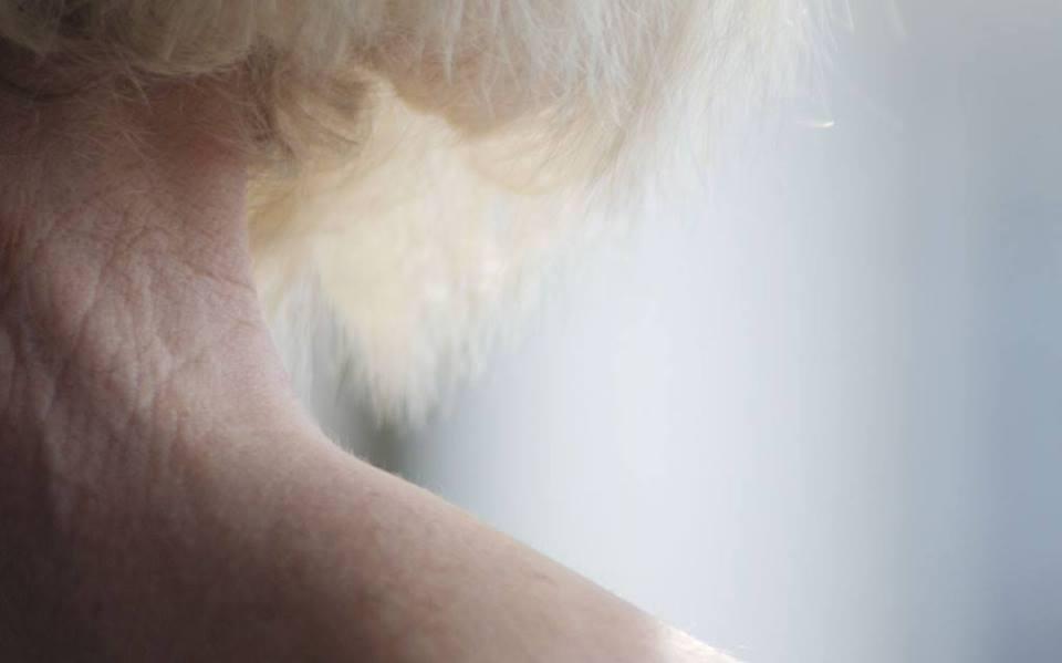 ᶦأداجيو: ملاحظات على جسد يشيخ' عن الرقص الغربي في لبنان