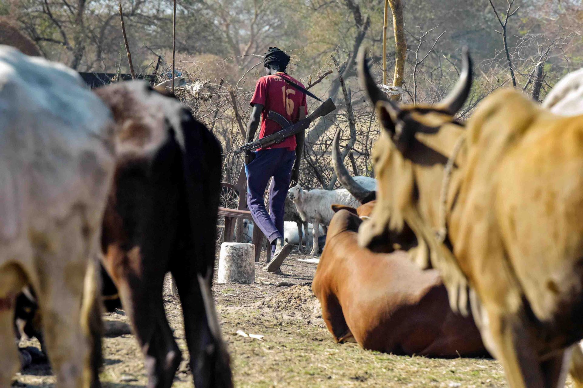 While fighting has stopped in most of the country as a result of the peace deal, this has changed nothing for herder groups