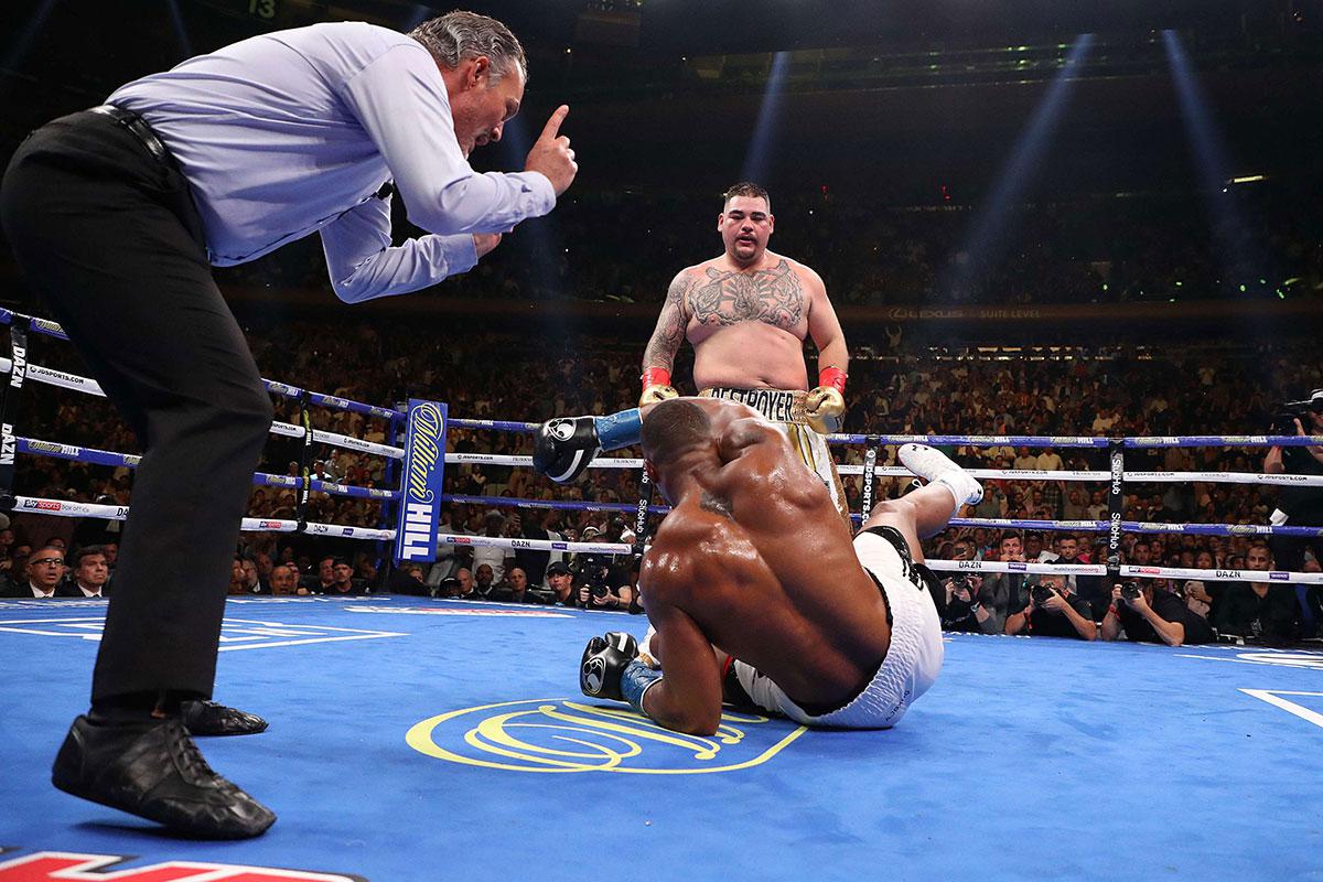 ضربة قاضية لشهرة جوشوا