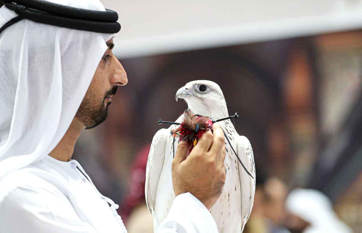 التصور النهائي
