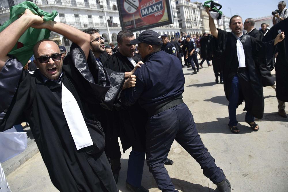 المحامون في الجزائر