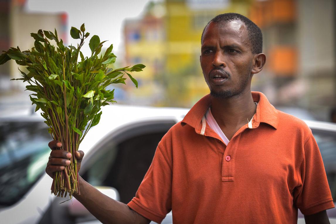 A vendor holds up a handful of khat twigs as he calls for buyers at a road side in an area known as 'Little Mogadishu' in Addis Ababa