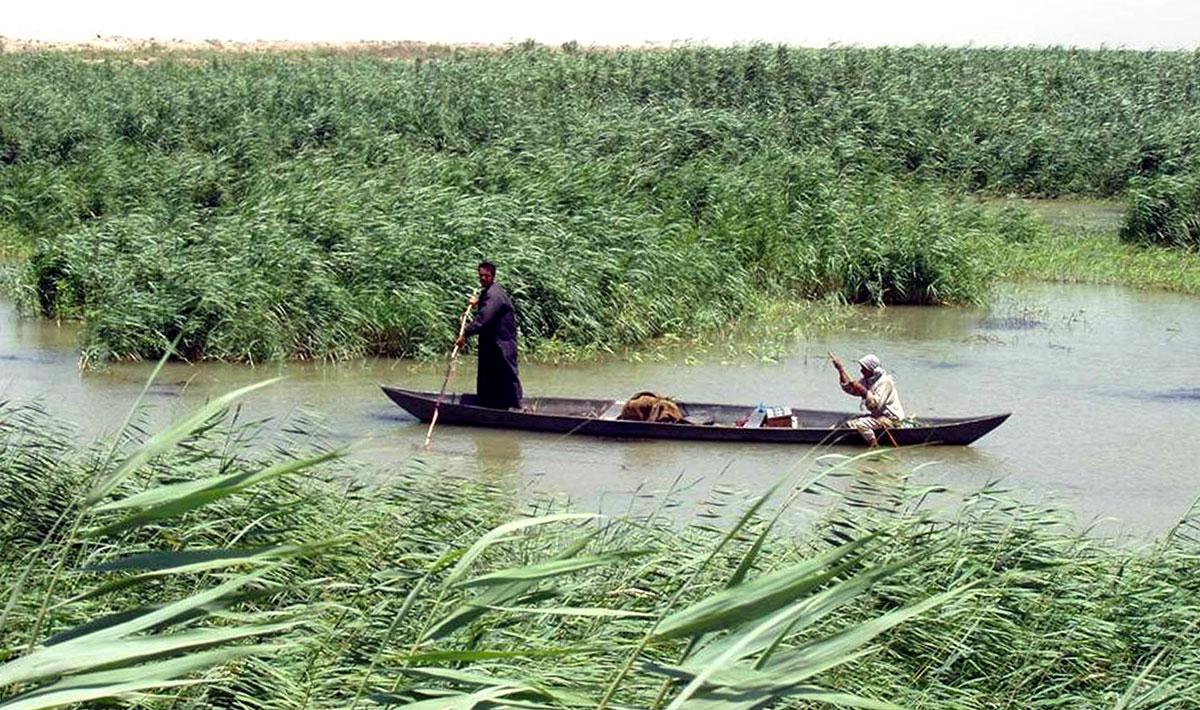 فصول قصيرة