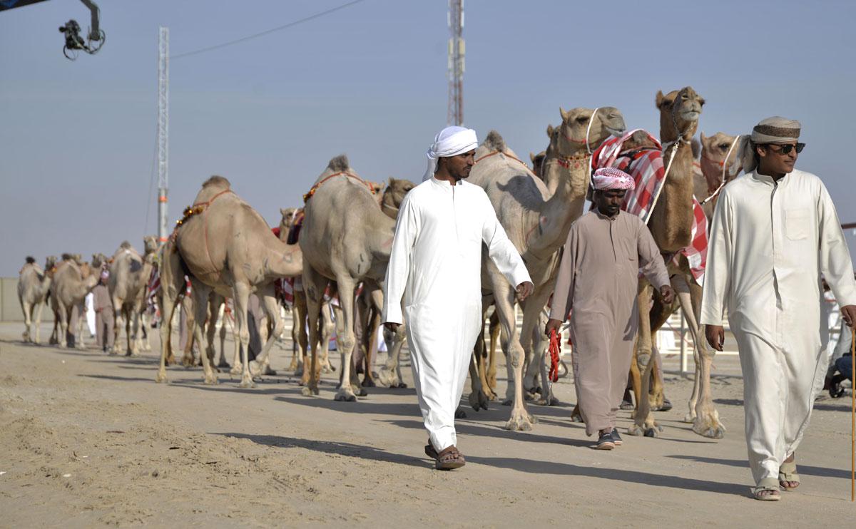 تعزيز الجانب التراثي المشرق